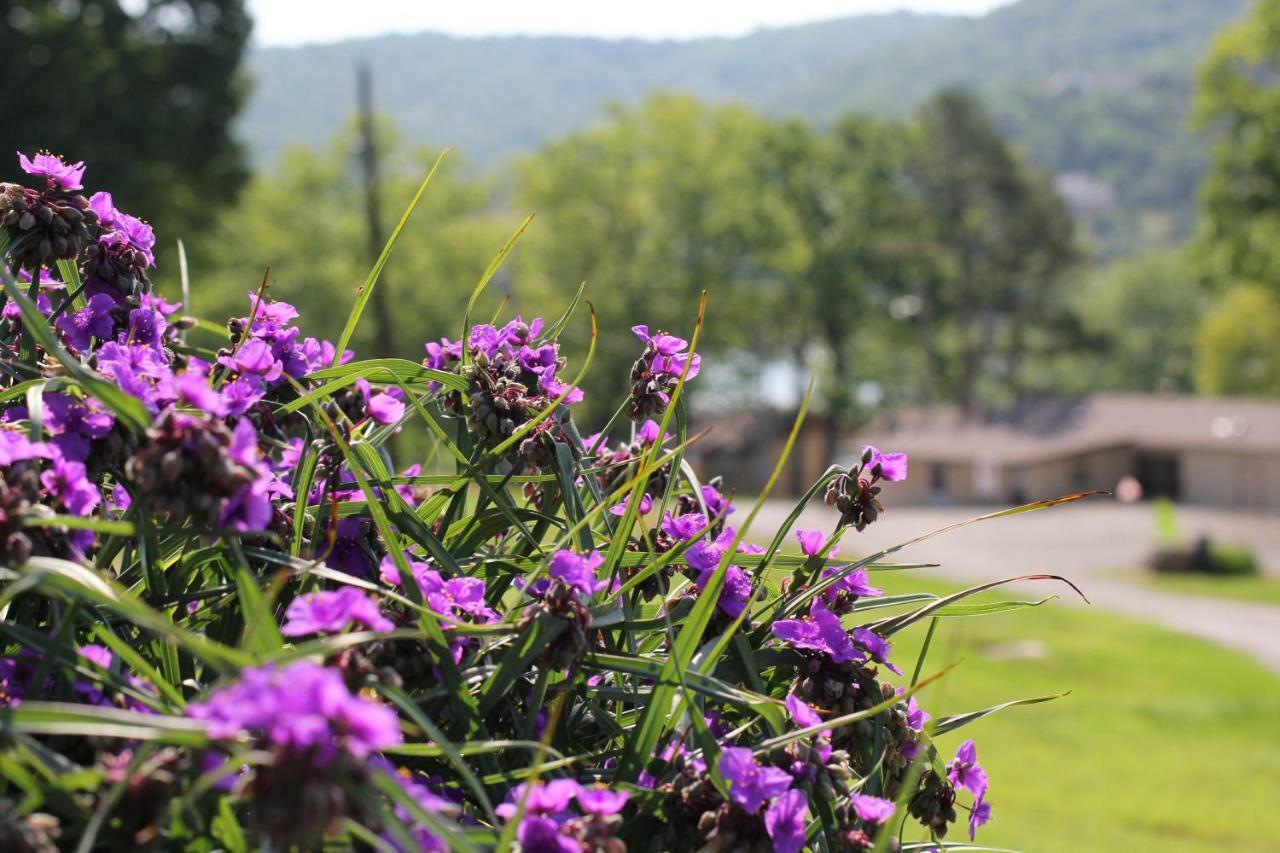 Mill Creek Resort On Table Rock Lake Lampe Εξωτερικό φωτογραφία